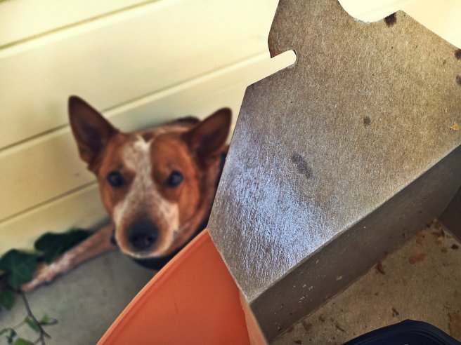 copper on deck.jpg