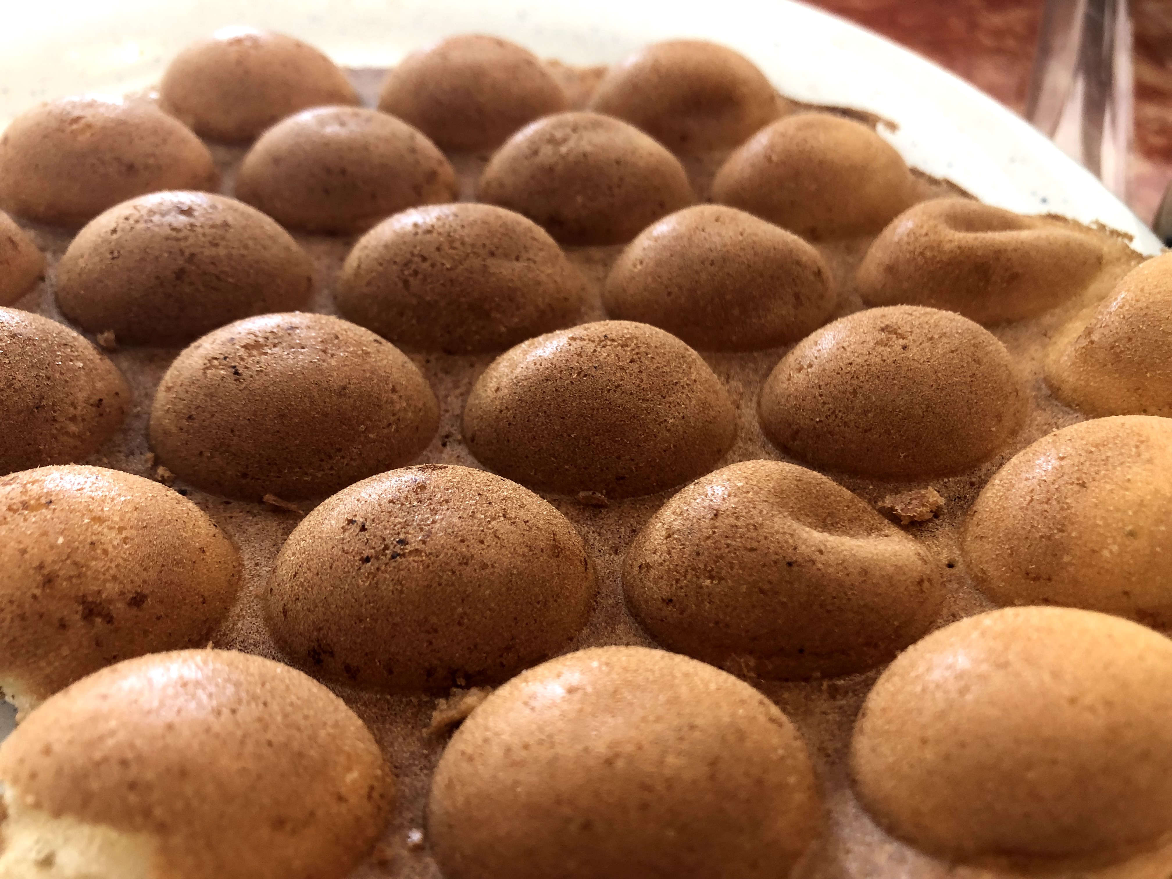 IMG_0481